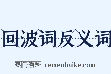 回波词反义词是什么意思的图片